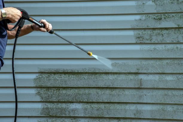 Best Fence Cleaning  in Anoka, MN